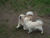 Ich spiele auch mit Fynn