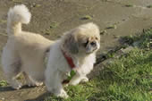 Peggy Ostern 2002